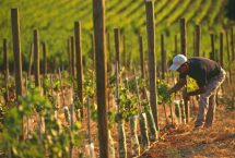 Jornada de Economía Agraria